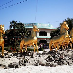 Golden 5 Diamond Beach Hotel & Resort